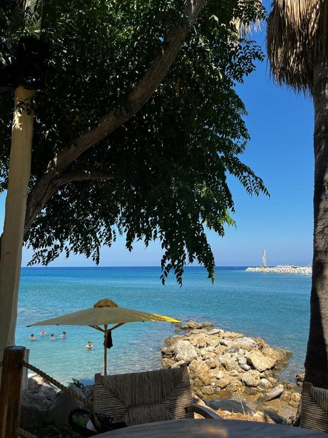 Apartmán Viking Family Superior Lux Ayia Napa Exteriér fotografie
