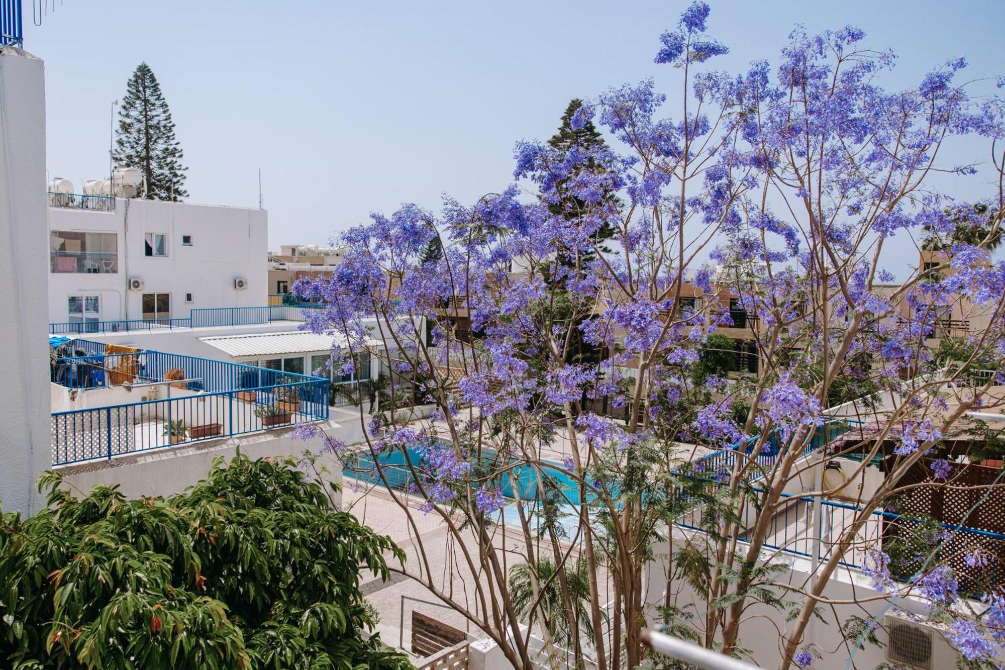 Apartmán Viking Family Superior Lux Ayia Napa Exteriér fotografie